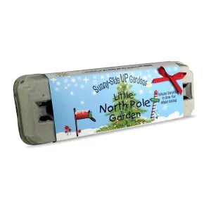 Little North Pole Garden Christmas Holiday Grow Kit